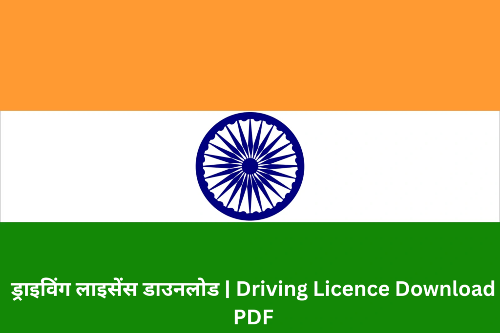 Driving Licence Download